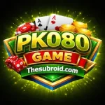 PK080 Game icon