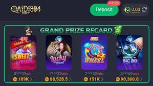 qaidi804 game
